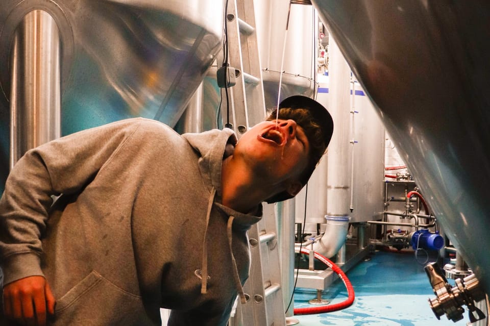 3 Locks Brewing Company: Guided tasting and brewery tour - Who should book this tour (and who might skip it)