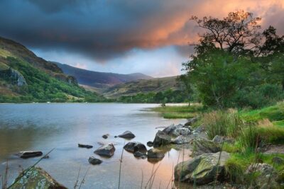 5-Day Discover Wales Small-Group Tour from London - Your Coach and Driver-Guide: The Pace That Makes It Work