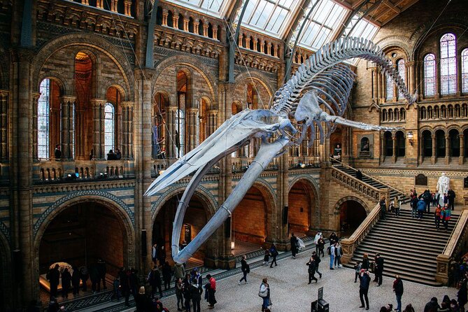 A Day at the Museum - Natural History Museum London - Key highlights at a glance