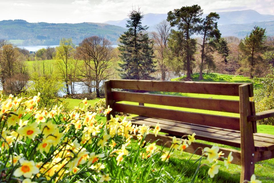 From London: Lake District Tour with Cream Tea & Cruise - Cream tea at Lindeth Howe: Potter connections with comfort food