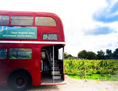 From London: Vintage Bus Wine Tour with Return Train Tickets - First Vineyard Stop: Guided Tour, Four-Wine Tasting, and Lunch Among the Vines
