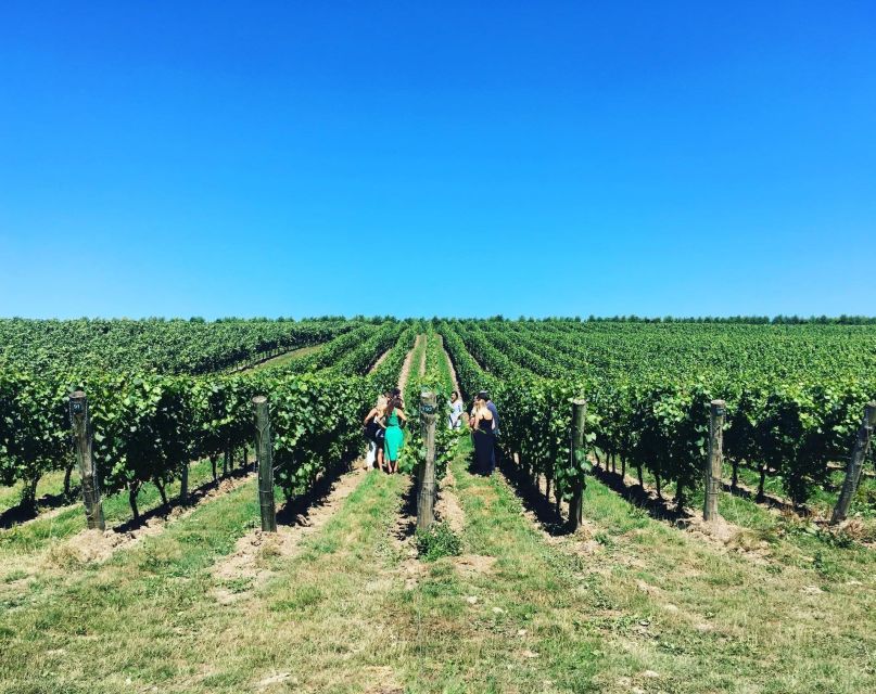 From London: Vintage Bus Wine Tour with Return Train Tickets - Timing, Walking, and the Day’s Comfortable Pace