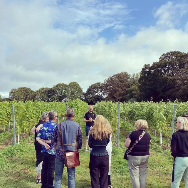 From London: Vintage Bus Wine Tour with Return Train Tickets - Price and Value: Is $214 Fair for Two Vineyards?