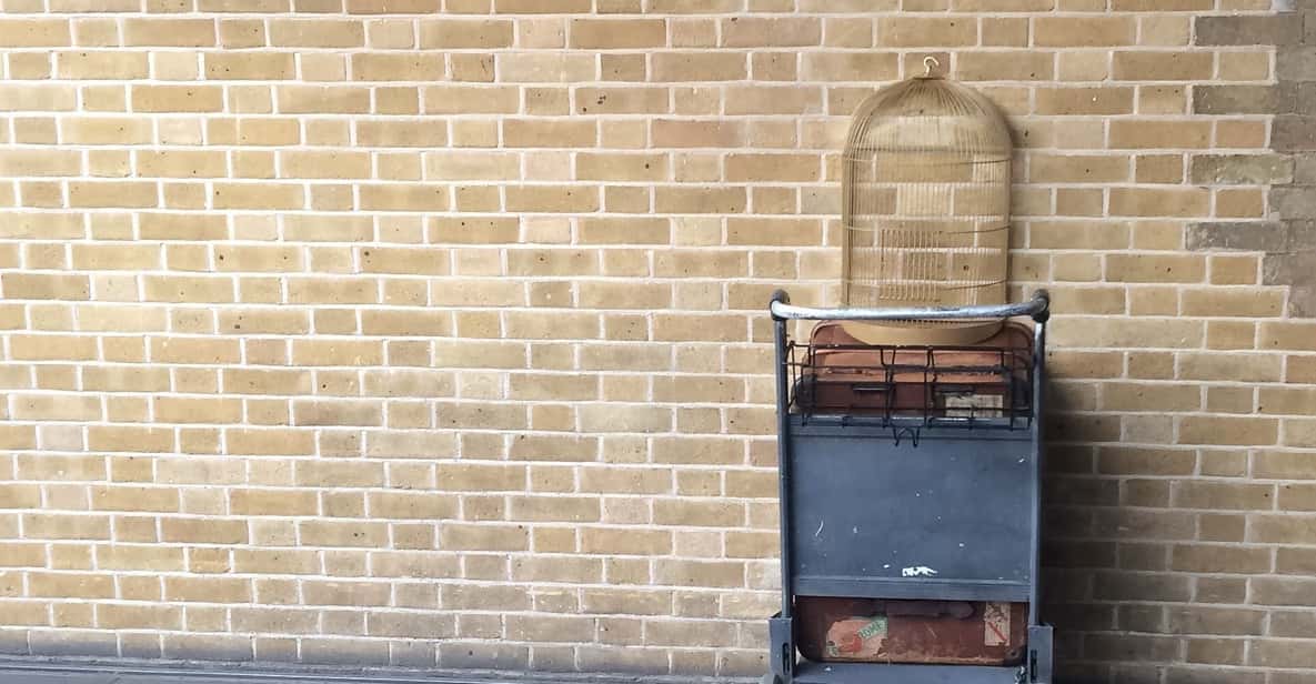 Harry Potter Private Tour of London in Spanish - Key highlights you will actually feel