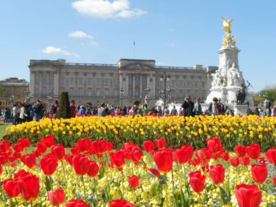 London: Changing of the Guard Walking Tour - Piccadilly Circus meeting point and the route you’ll follow