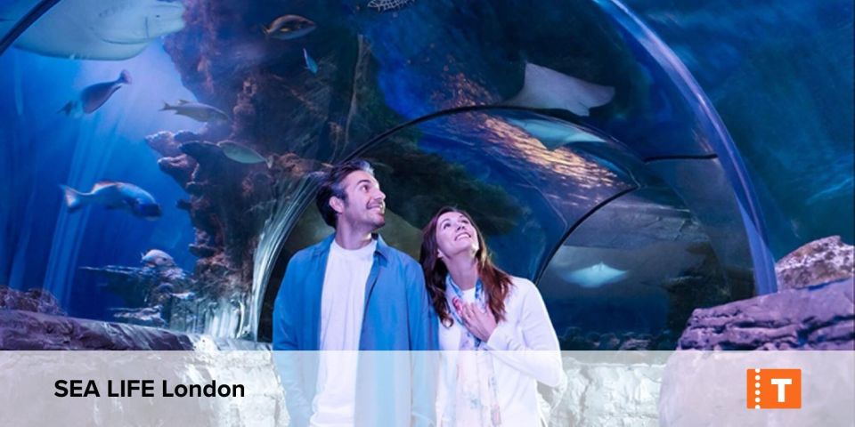 London City pass: Top attractions, Hop on Hop off & tours - Royal palaces you can actually plan around: Tower of London, Hampton Court, Kensington