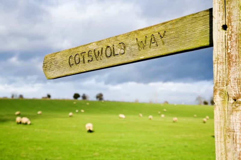 London: Cream Tea at Blenheim Palace & the Cotswolds Tour - Should you book this Blenheim Palace and Cotswolds day trip?