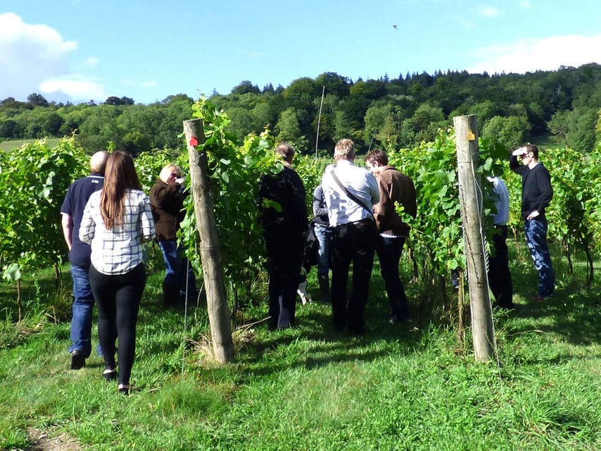 London: Full-Day English Wine Tour with Lunch - Who This Tour Fits Best
