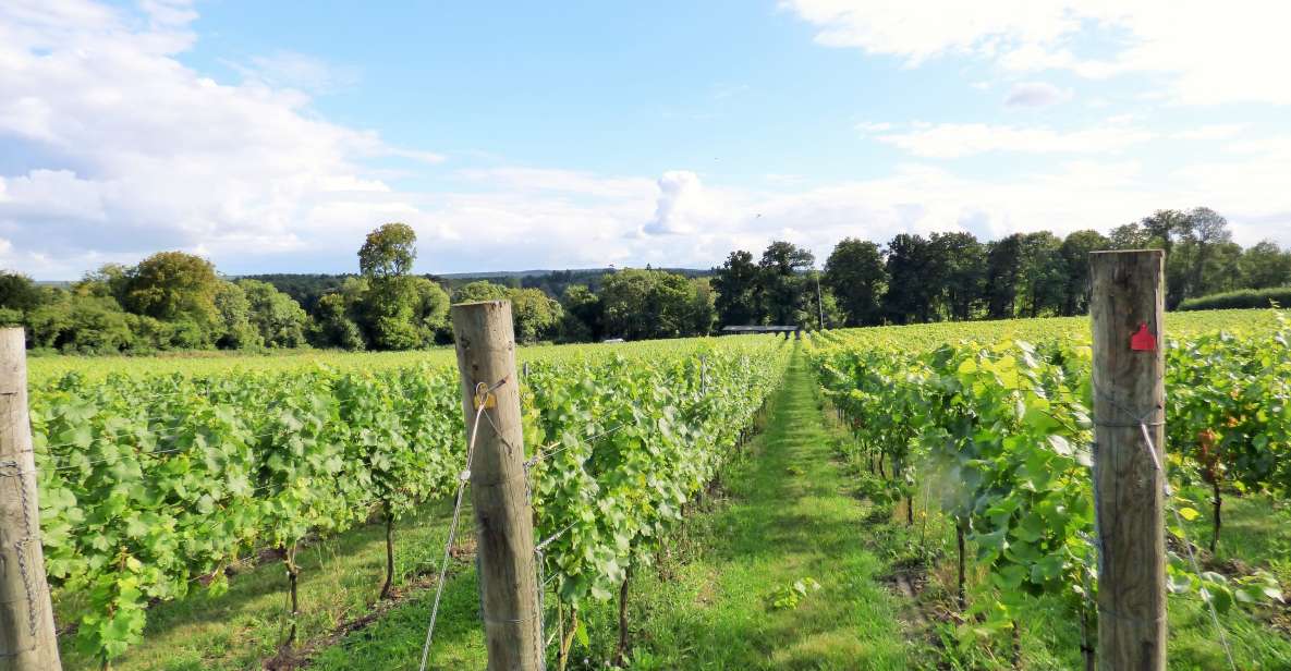 London: Full-Day English Wine Tour with Lunch - The Mini-Bus Ride Out of the City: Views Plus Wine Context