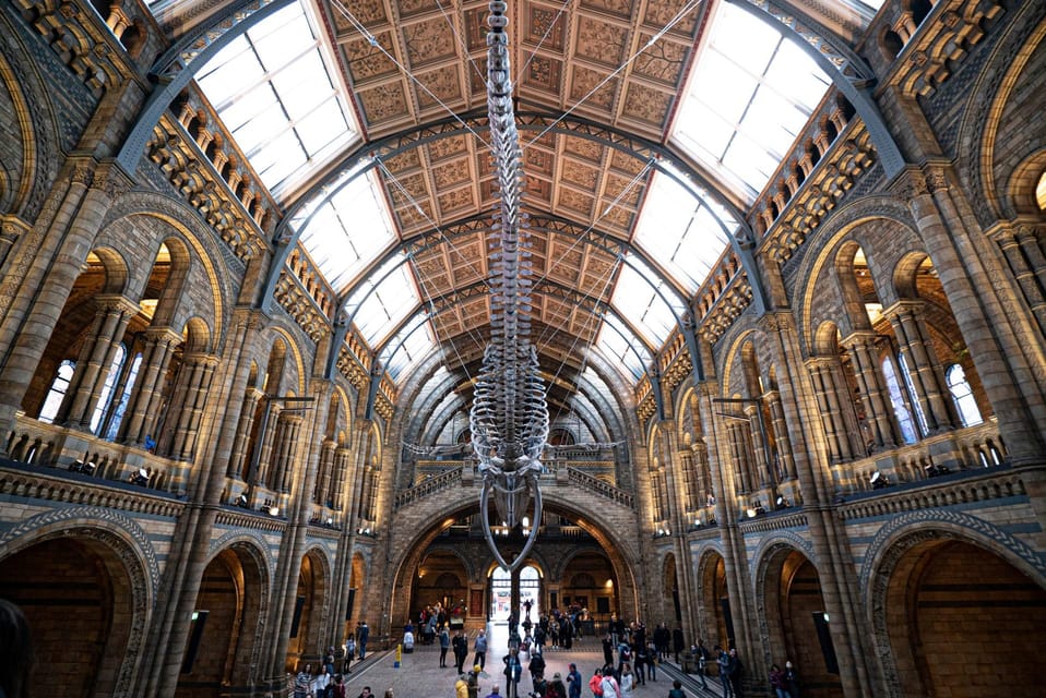 London: Guided Tour of the Natural History Museum - Entering Cromwell Road: Bag Check, Giraffe Bones, and Museum Theater