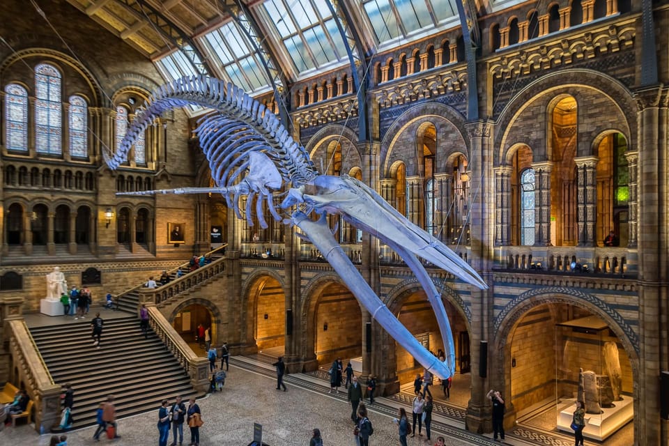 London: Guided Tour of the Natural History Museum - Human Evolution Gallery: Life-Sized Models and Fossils That Tell a Straight Line