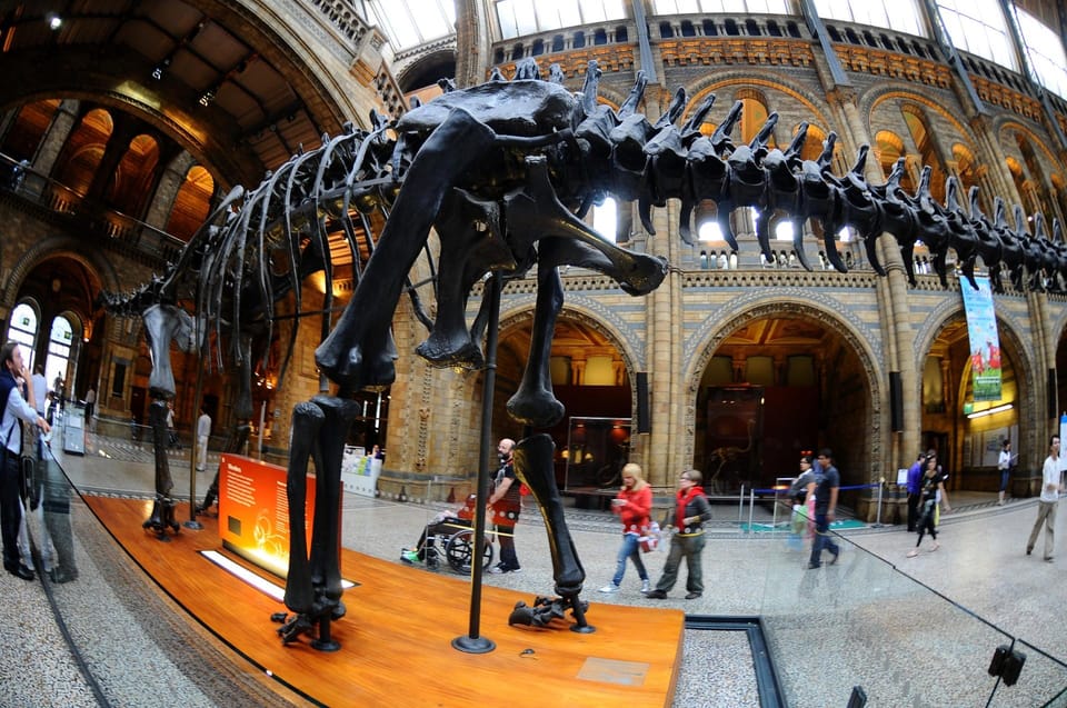 London: Guided Tour of the Natural History Museum - Wildlife Garden: A Quick Nature Break Inside the City