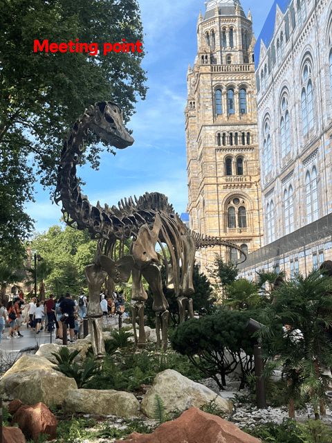 London: Guided Tour of the Natural History Museum - Price and Value for a $40, 2-Hour Guided Visit