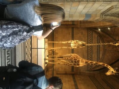 London: Natural History Museum Entry Ticket and Guided Tour - Express security and headsets: the small details that save real time