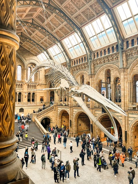 London: Natural History Museum Guided Tour - Key highlights you’ll actually notice