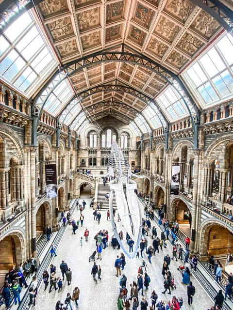 London: Natural History Museum Guided Tour - Why this Natural History Museum guided tour works in 2.5 hours