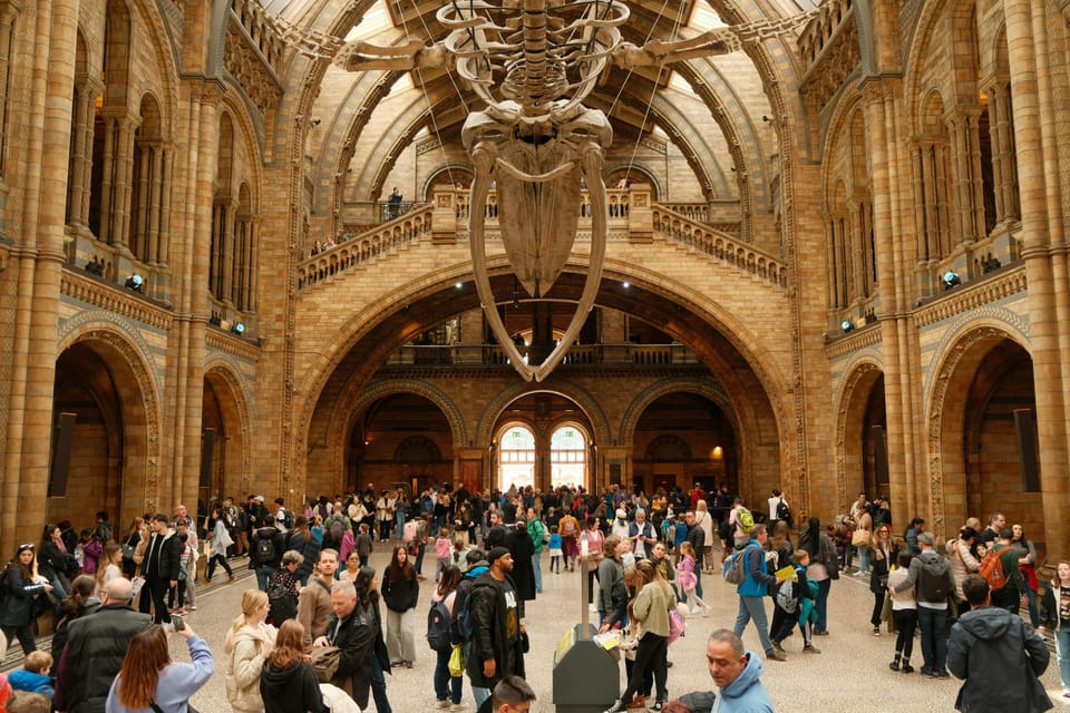 London: Natural History Museum Guided Tour - Fossils first: Sophie, Dodo, and the Archaeopteryx connection
