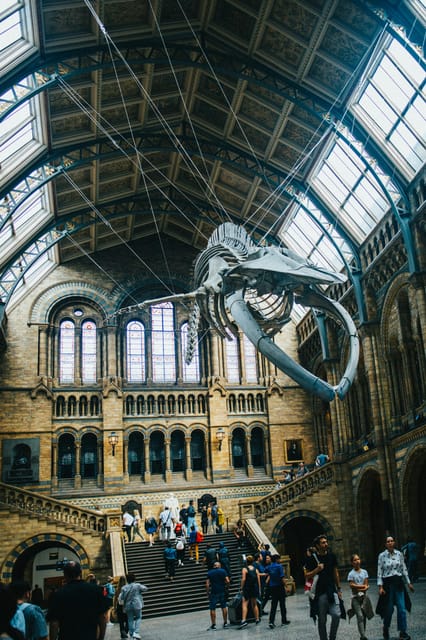 London: Natural History Museum Guided Tour - Getting in fast: meeting point and express security