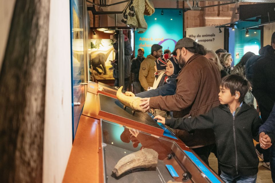 London: Natural History Museum Private Guided Family Tour - Tour pace and the real meaning of a 2-hour visit