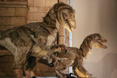 London: Natural History Museum Private Guided Family Tour - Meeting at Cromwell Road: finding the guide and staying on schedule