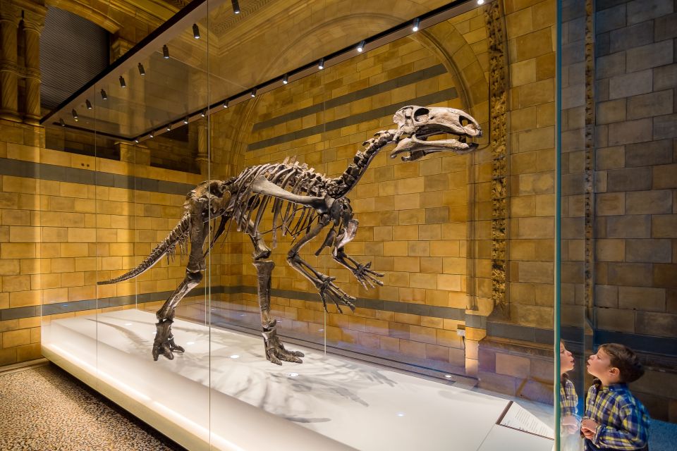 London: Natural History Museum Private Guided Family Tour - Dinosaur galleries: the hands-on part kids remember