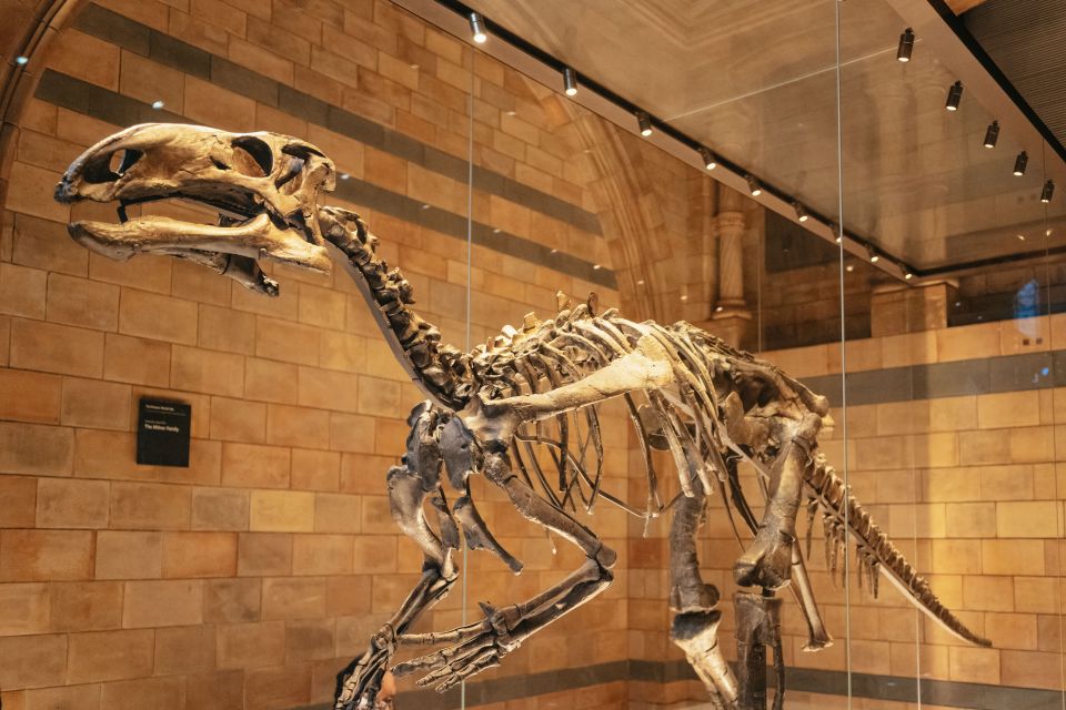 London: Natural History Museum Private Guided Family Tour - Price and value: when $395.23 makes sense