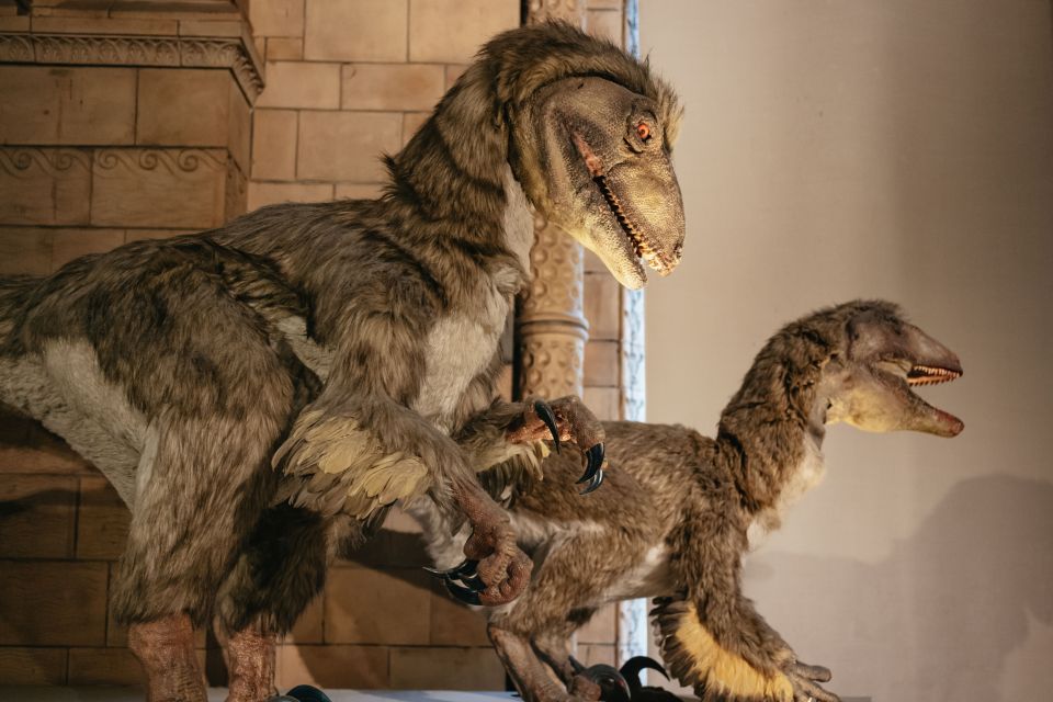 London: Natural History Museum Private Guided Family Tour - Meeting at Cromwell Road: finding the guide and staying on schedule