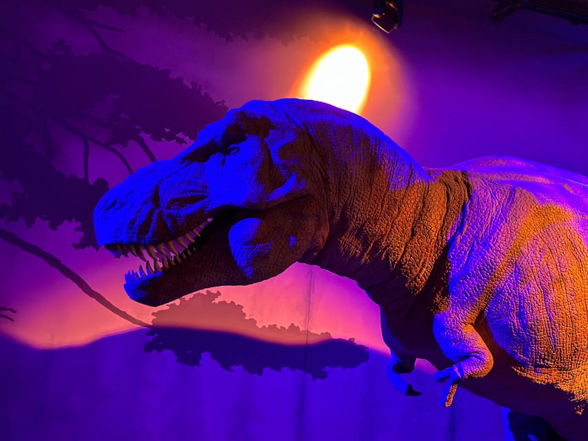 London: Natural History Museum Private Guided Tour - Key highlights worth marking on your map