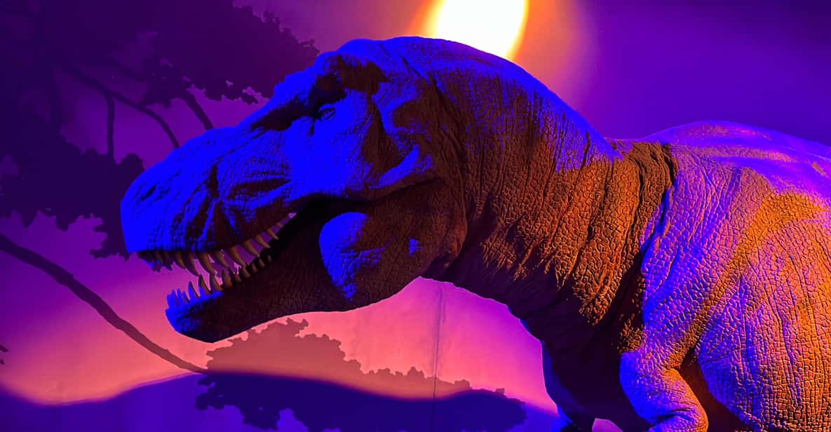 London: Natural History Museum Private Guided Tour - Should you book this Natural History Museum private tour?