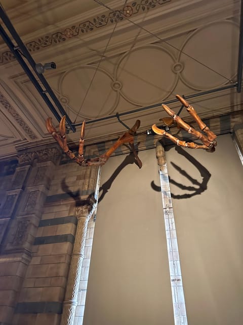 London: Natural History Museum Private Guided Tour - How the guide connects the science to real people