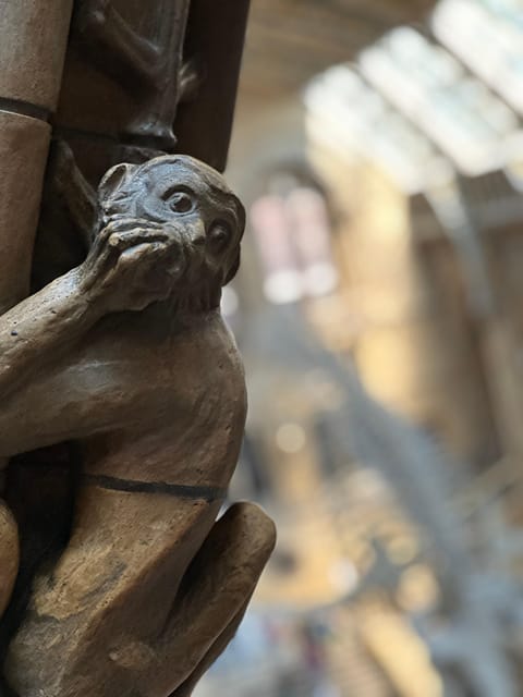 London: Natural History Museum Private Guided Tour - Price and value: $134 per group up to 6, with entrance included
