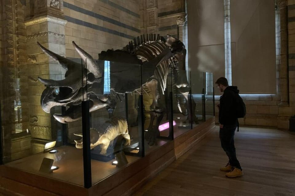 London: Natural History Museum Private Tour & Skip the line - Dinosaurs and Fossils: The Big Names You’ll Want to Point Out Later
