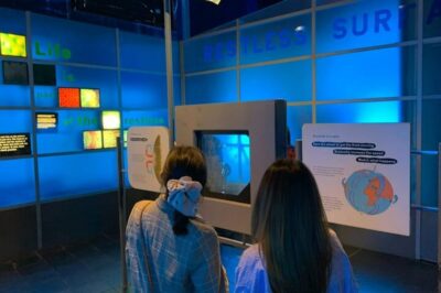 London: Natural History Museum Private Tour & Skip the line - Skip-the-Line Logistics That Actually Change Your Experience