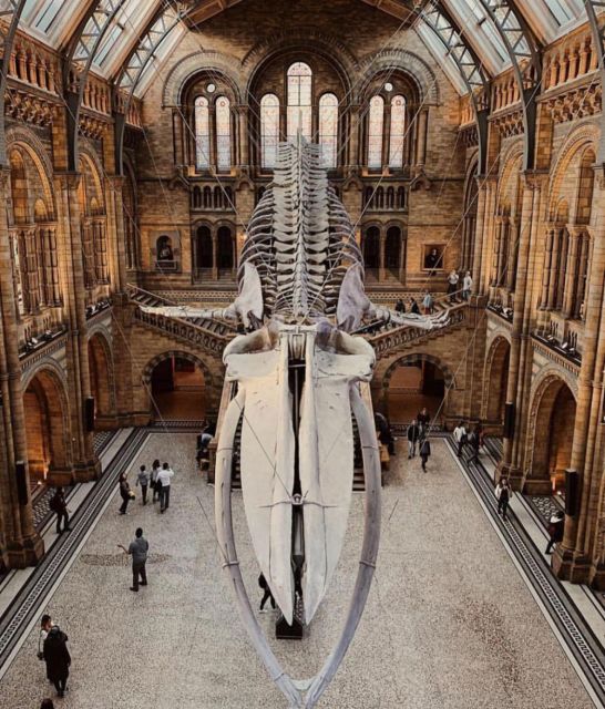 London: Royal Kensington Guided Walking Tour - Who should book this Royal Kensington walking tour