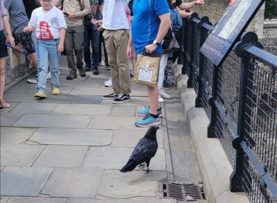 London: Tower of London Guided Tour with Boat Ride - Meeting points and what they mean for your timing