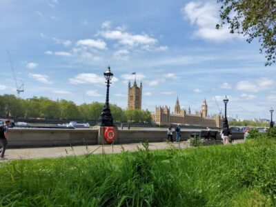 Luxury Private Tour in London with Lunch - Westminster Abbey, Royal Guard moments, and Buckingham Palace