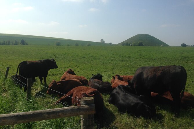 Private Archaeologist Guided Tour Stonehenge, Salisbury & Avebury - Avebury stone circles and the Red Lion finish