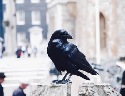 Ultimate Royal London, Thames River Boat Ride & Walking Tour - Entering the Tower of London: crowns, confessions, and Crown Jewels